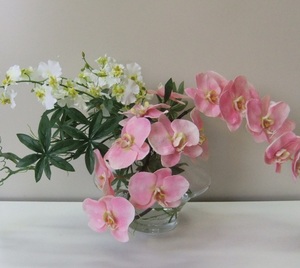 A flower arrangement of 胡蝶蘭(kochouran; lit. butterfly orchid), known as Phalaenopsis or moth orchids in English.
